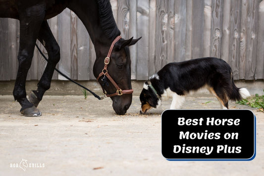 8 of the Best Horse Movies on Disney Plus (Must-Watch!)