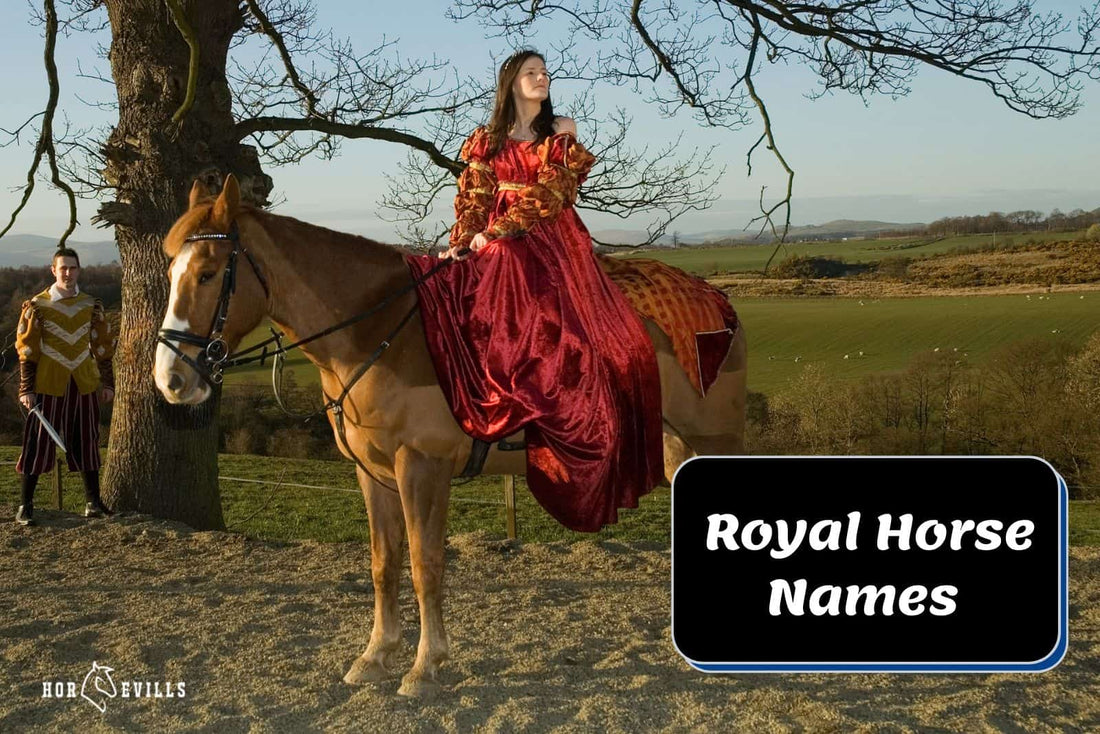 200 Royal Horse Names to Unleash the Grace of Your Equine