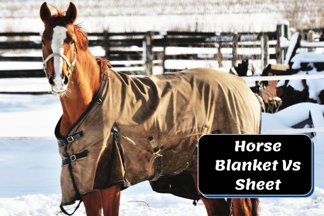 Horse Blanket and Sheet Quick Comparison Guide