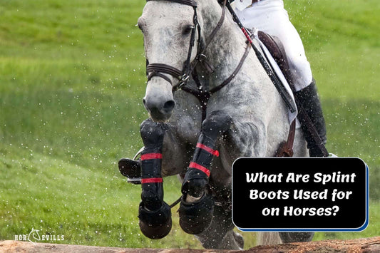 What Are Splint Boots Used for on Horses? Know The Purposes