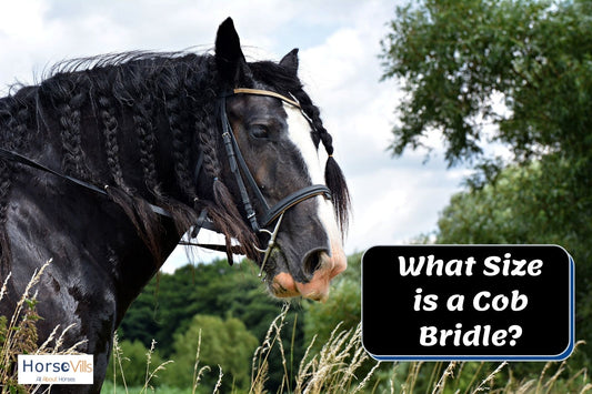 What Size is a Cob Bridle? (CWD Bridle Size Chart)