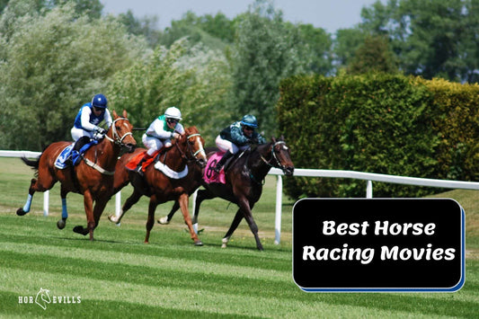 16 Best Horse Racing Movies You Will Love To Watch!